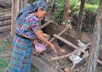 Impulsan proyectos de Alimentos por Acciones para beneficiar a familias de Zacapa