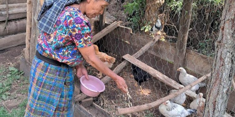 Impulsan proyectos de Alimentos por Acciones para beneficiar a familias de Zacapa