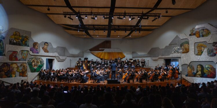 ¡Sala llena! Una noche con Bach, Tchaikovsky y Brahms