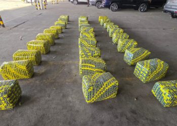 Decomisan cargamento de droga en Izabal