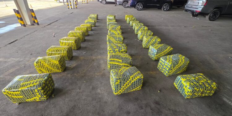 Decomisan cargamento de droga en Izabal