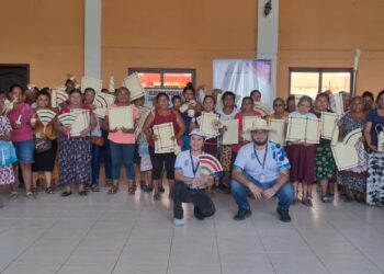 ¿Qué son las casas de Desarrollo Cultural?