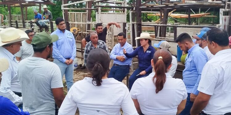 Reafirman compromiso con el desarrollo agrícola y pecuario de Petén