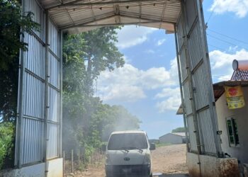 Realizan 257 evaluaciones de bioseguridad en diferentes Unidades de Producción Avícola