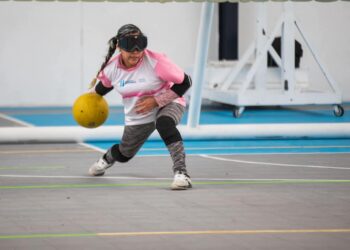 ¿Qué es el Programa Sustantivo para Personas con Discapacidad?