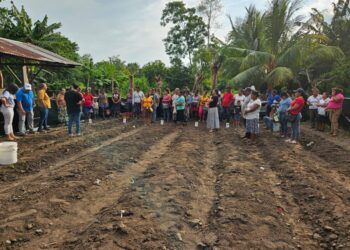 Familias agricultoras de Masagua reciben pilones para impulsar huertos comunitarios