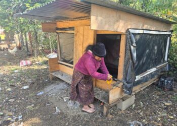 Más de 16 mil familias trabajan por el desarrollo y la autosuficiencia de sus comunidades