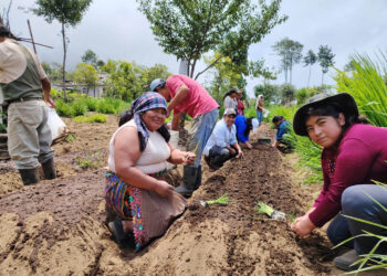 San Marcos: implementación de huertos es clave para impulsar la actividad productiva