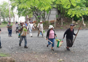 Actividades de reforestación fortalecen seguridad alimentaria y resguardo ambiental