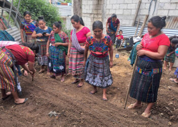 Agricultoras de Sacatepéquez fortalecen capacidades en técnicas de siembra