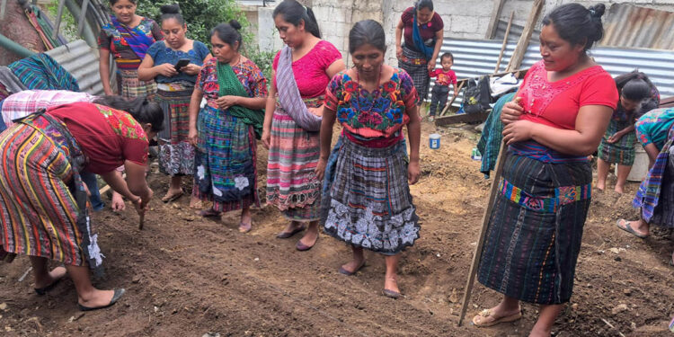 Agricultoras de Sacatepéquez fortalecen capacidades en técnicas de siembra