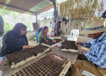 Agricultores capacitados en técnicas de protección de cultivos