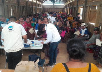 Agricultores de San Pedro Carchá reciben semillas de maíz mejoradas