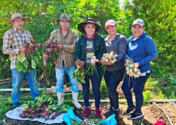 Agricultores transforman desafíos en oportunidades