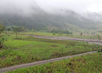 Análisis agroclimático indica que 97 municipios podrían verse afectados por lluvias