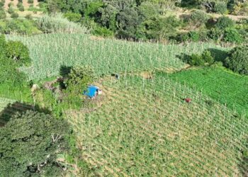 Ante disminución de lluvias se monitorean 181 municipios