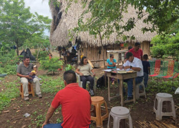 Apicultores de La Libertad inscritos en Registro Guatemalteco Apícola