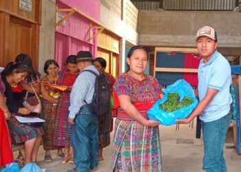 Beneficiarios de los CADER de Quiché reciben pilones de hortalizas