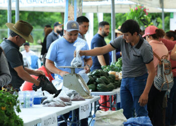 Campo Marte se transforma en un mercado de productos frescos