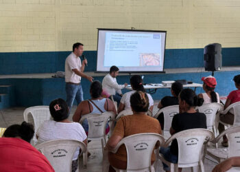 Capacitan a productores de cerdos de traspatio