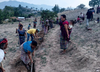 Conservación de suelos esencial para proteger la productividad agrícola