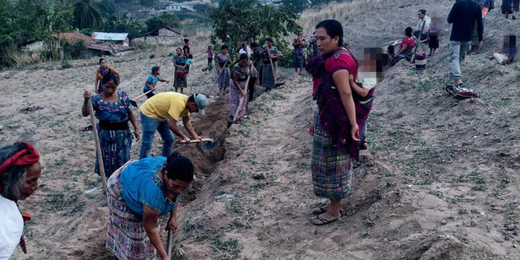 Conservación de suelos esencial para proteger la productividad agrícola