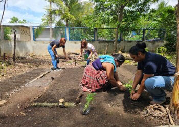 Creación de huerto familiar fortalece alimentación familiar