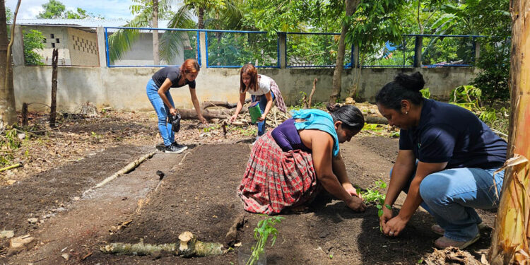 Creación de huerto familiar fortalece alimentación familiar