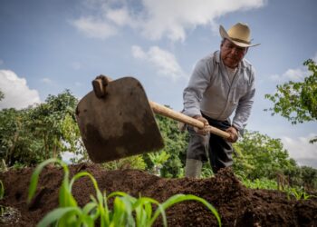 Crédito Tob’anik: el programa que entiende la realidad del campo