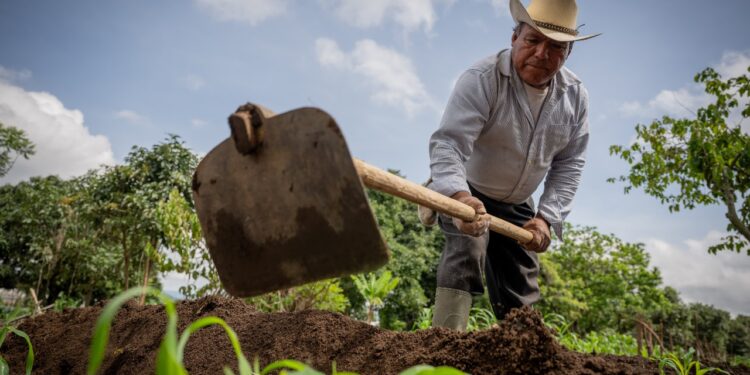 Crédito Tob’anik: el programa que entiende la realidad del campo