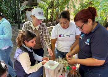 Educadoras aprenden a elaborar biopesticida orgánico