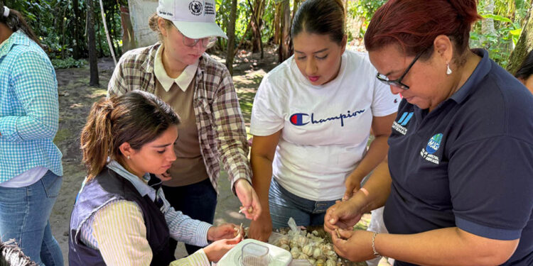 Educadoras aprenden a elaborar biopesticida orgánico
