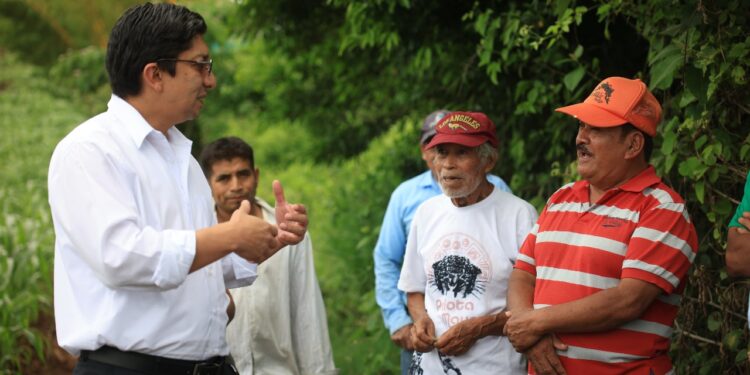 El campo vive y produce en el corazón de la ciudad