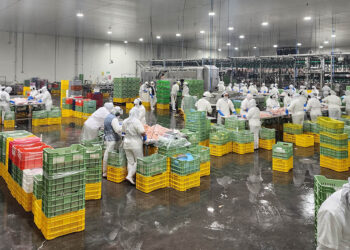 Emiten licencias sanitarias de funcionamiento de rastros