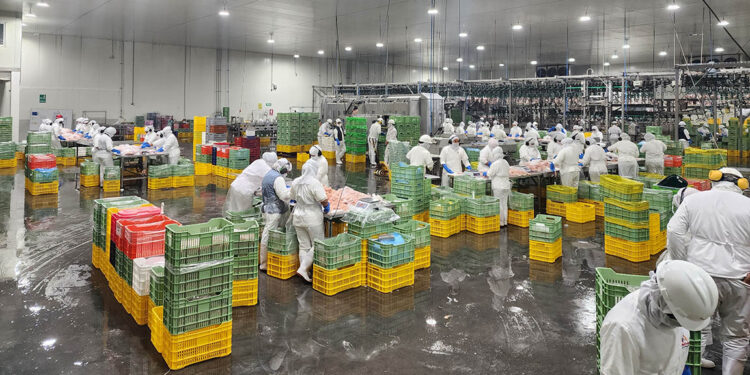 Emiten licencias sanitarias de funcionamiento de rastros