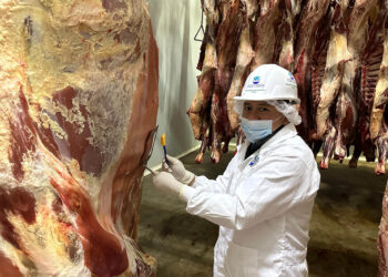 Emiten más de 600 licencias sanitarias para almacenamiento seguro de carne