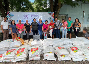 En julio se brindará asistencia alimentaria a más de 71 mil familias