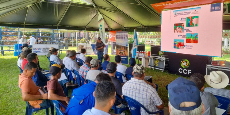 Entregan insumos y capacitan a ganaderos para frenar plaga bovina