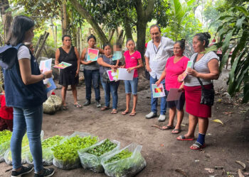Entregan pilones de hortalizas a familias agricultoras de Suchitepéquez