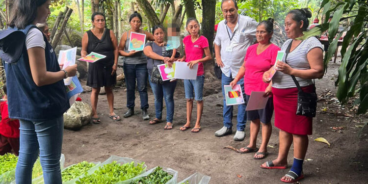 Entregan pilones de hortalizas a familias agricultoras de Suchitepéquez
