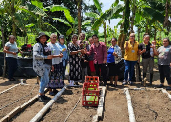 Entregan pilones de hortalizas para huertos comunales de Escuintla