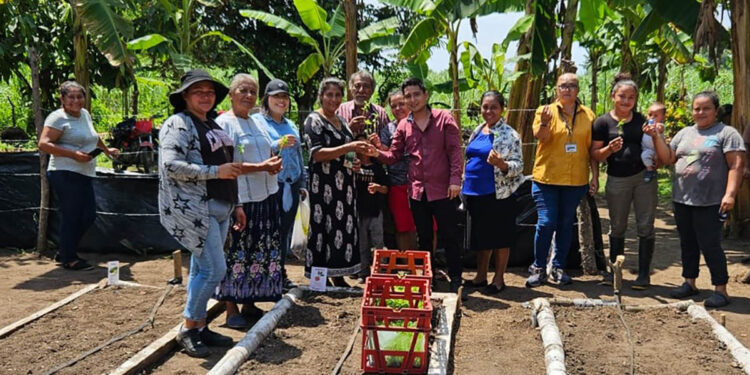 Entregan pilones de hortalizas para huertos comunales de Escuintla