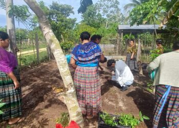 Establecen huerto comunal en la comunidad Nuevo San Francisco, Petén