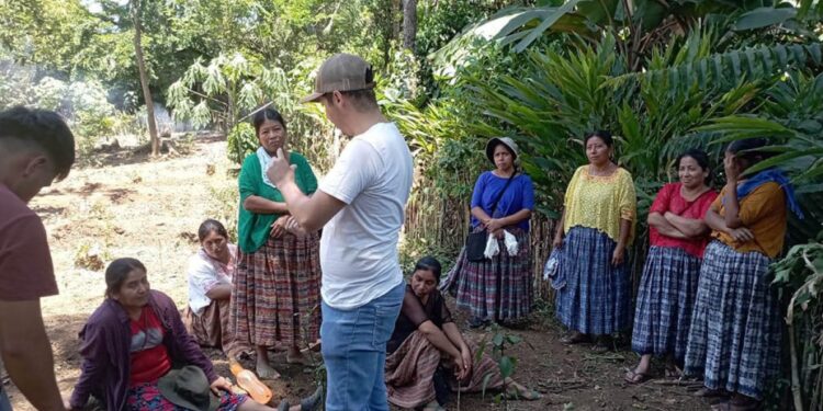 Exponen trabajo por el desarrollo del sector agropecuario en Alta Verapaz