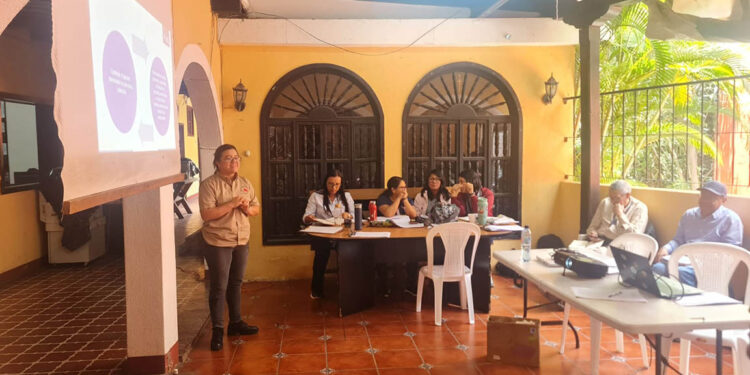 Extensionistas de Sacatepéquez capacitados para detección y manejo del Gusano Barrenador