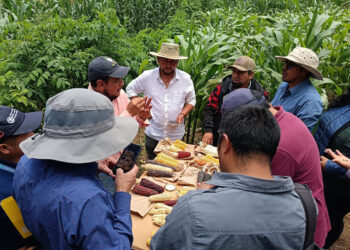 Extensionistas fortalecen capacidades del Sistema Milpa