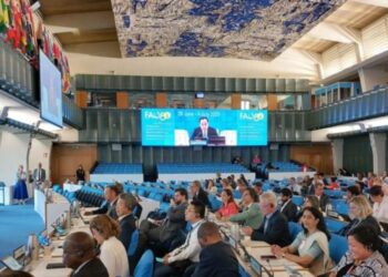 Guatemala participa en la 178.ª Sesión del Consejo de la FAO