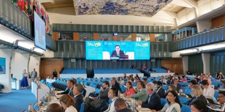 Guatemala participa en la 178.ª Sesión del Consejo de la FAO