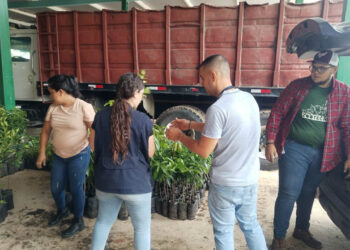 Familias reciben plantas frutales y medicinales para huerto comunal de Zacapa