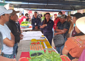 Ferias del Agricultor brindan oportunidades comerciales para productores de Quiché
